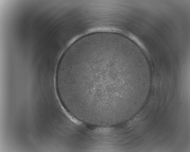 X0000070421237200606161429