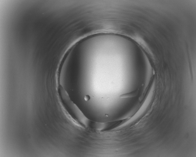 X0000070421238200606161429