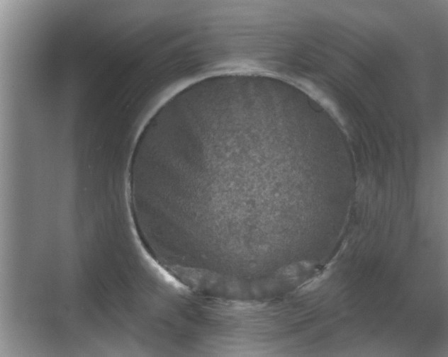 X0000070421239200606161429