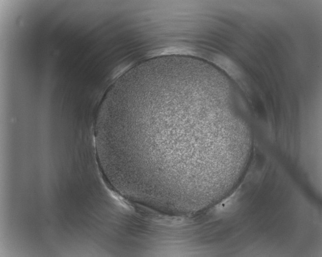 X0000070421241200606161429