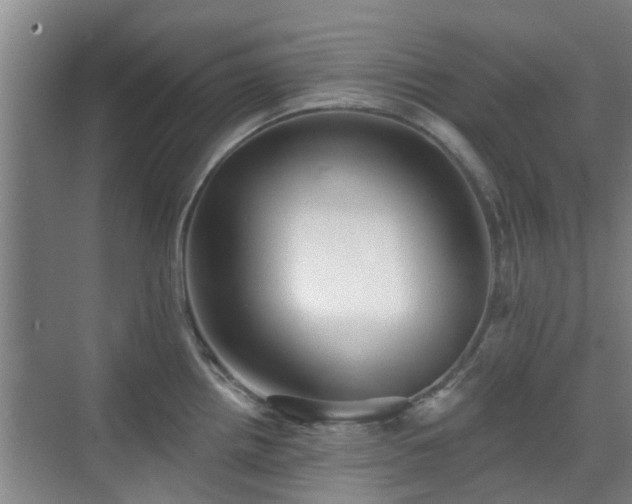 X0000070421242200606161429