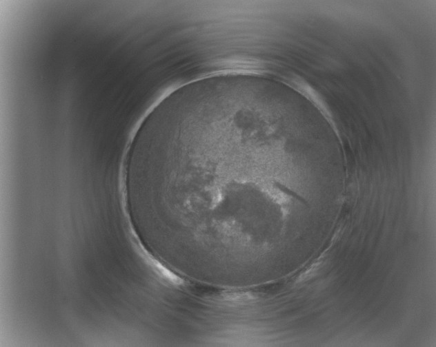 X0000070421243200606161429