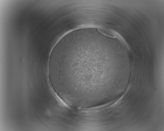 X0000070421244200606161429