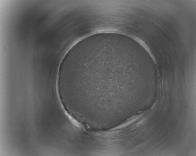 X0000070421245200606161430