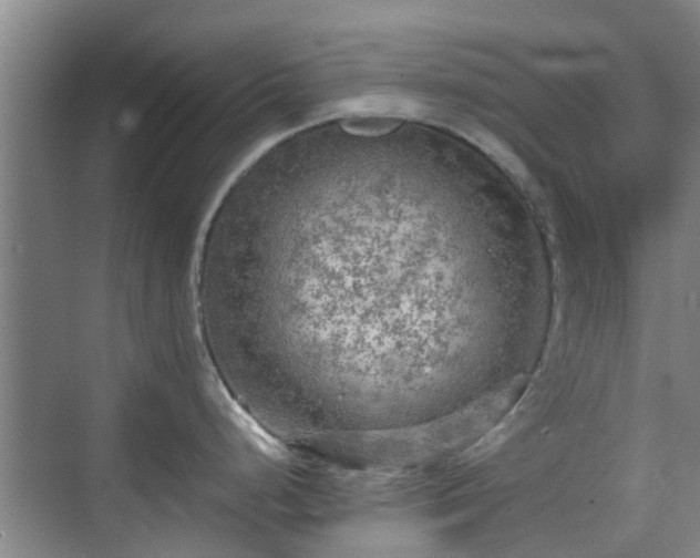 X0000070421248200606161430