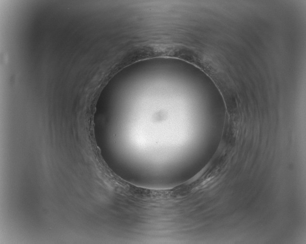 X0000070421249200606161429