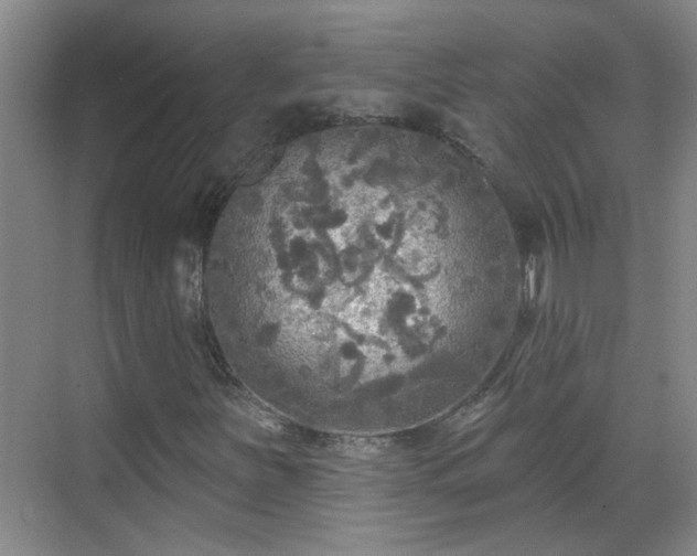 X0000070421251200606161429