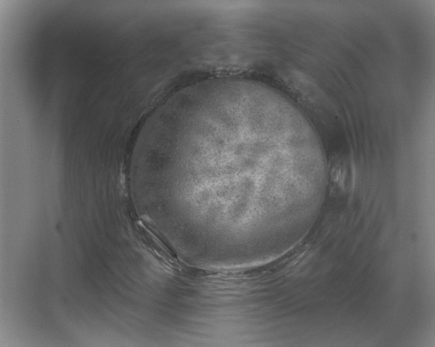 X0000070421252200606161429