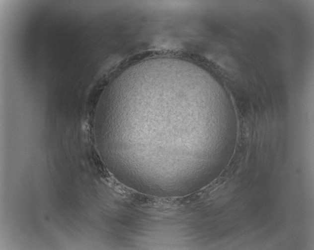 X0000070421254200606161429