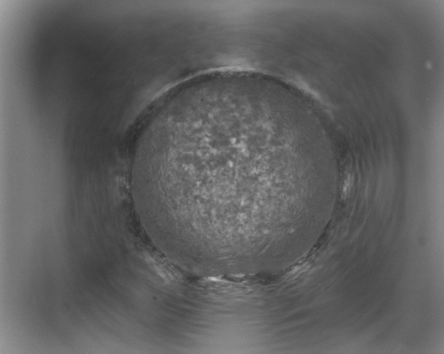 X0000070421255200606161429