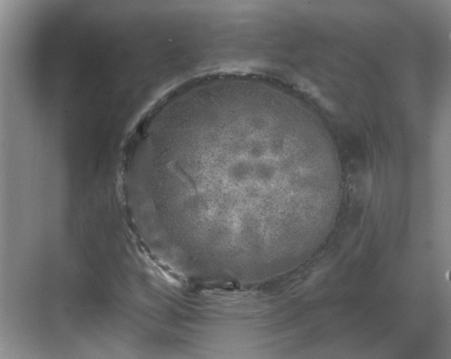 X0000070421256200606161429