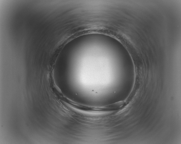 X0000070421257200606161429