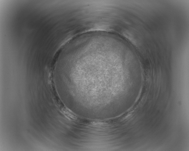 X0000070421258200606161429