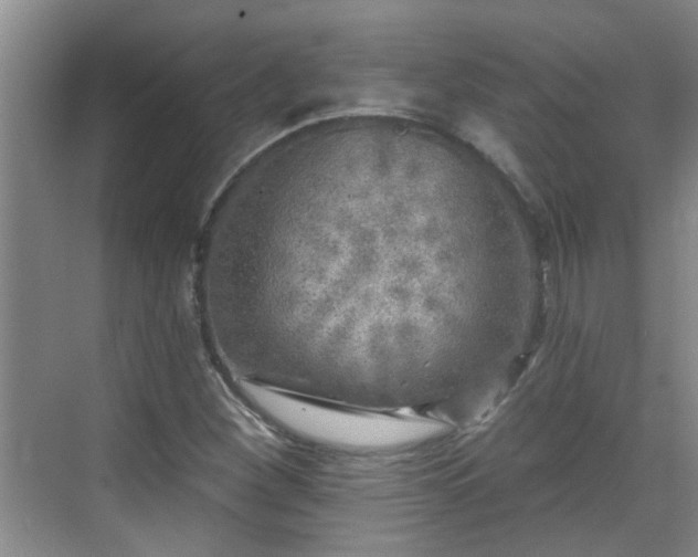 X0000070421260200606161429