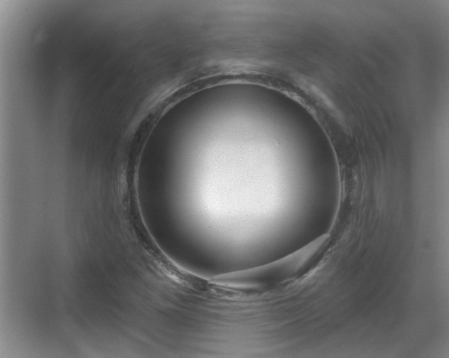 X0000070421261200606161429