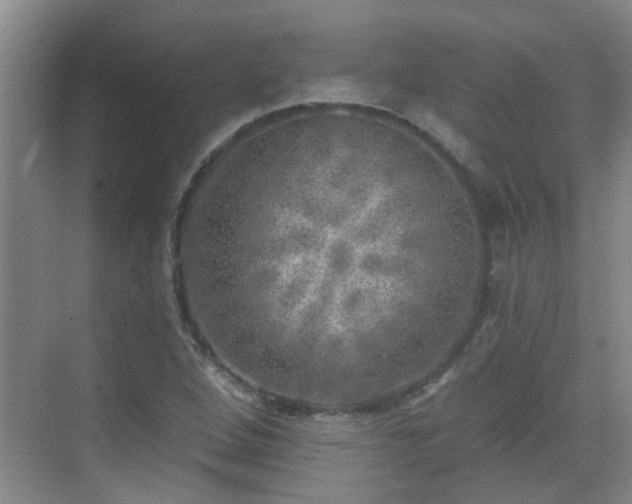 X0000070421264200606161428