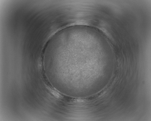 X0000070421266200606161428