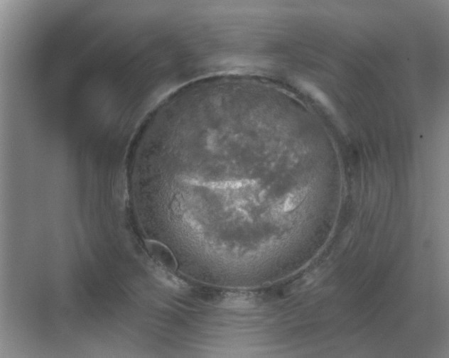 X0000070421267200606161428