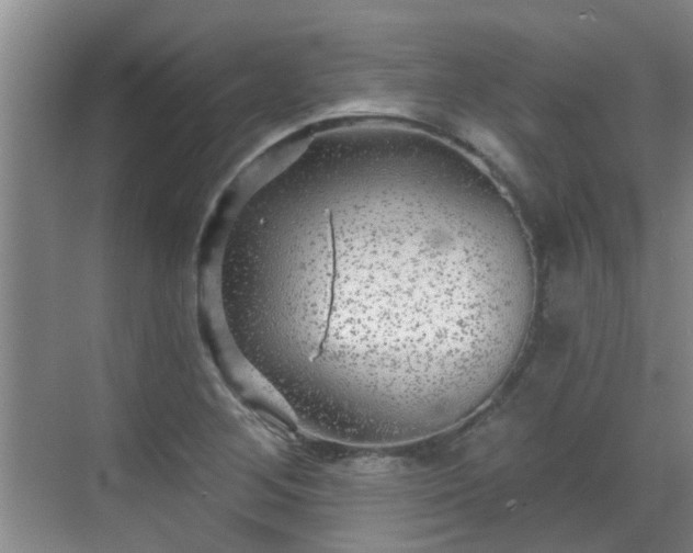 X0000070421268200606161428