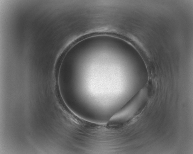 X0000070421270200606161428