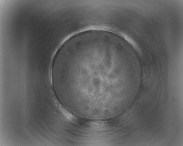 X0000070421272200606161428