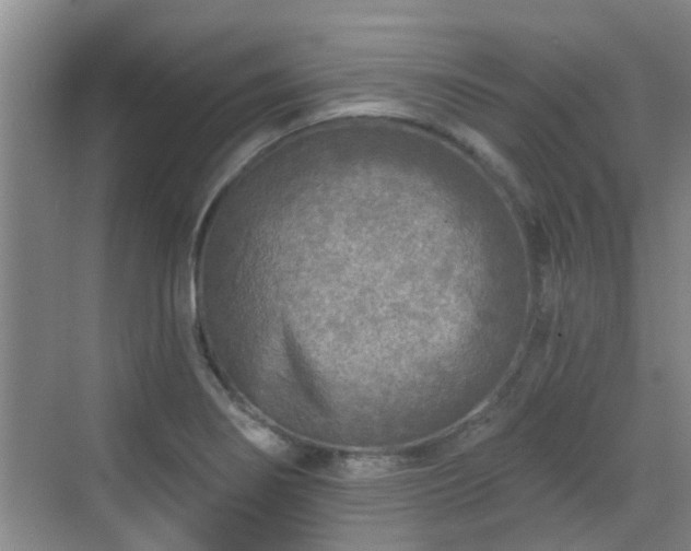 X0000070421274200606161428