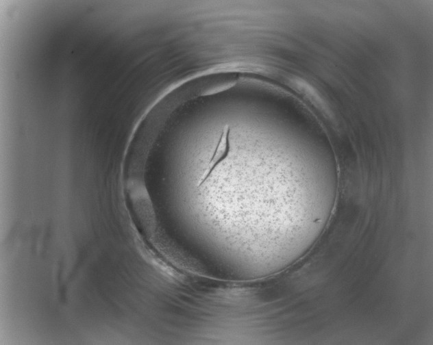 X0000070421276200606161428