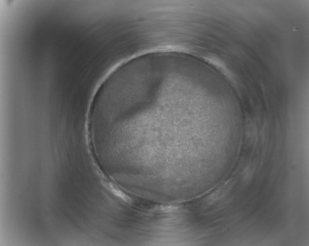 X0000070421278200606161428