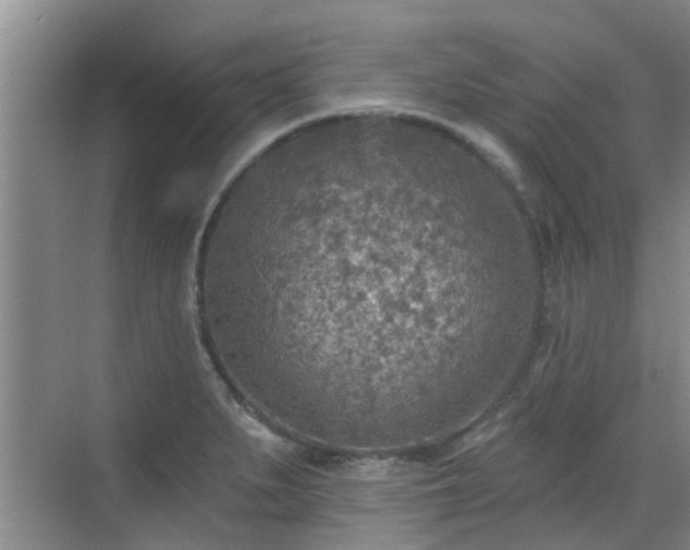 X0000070421279200606161428