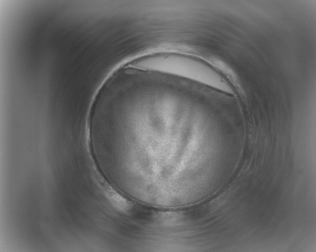 X0000070421280200606161428