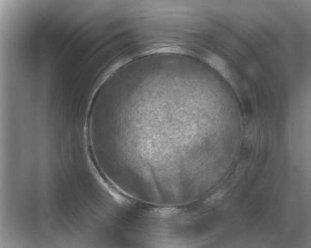 X0000070421282200606161428