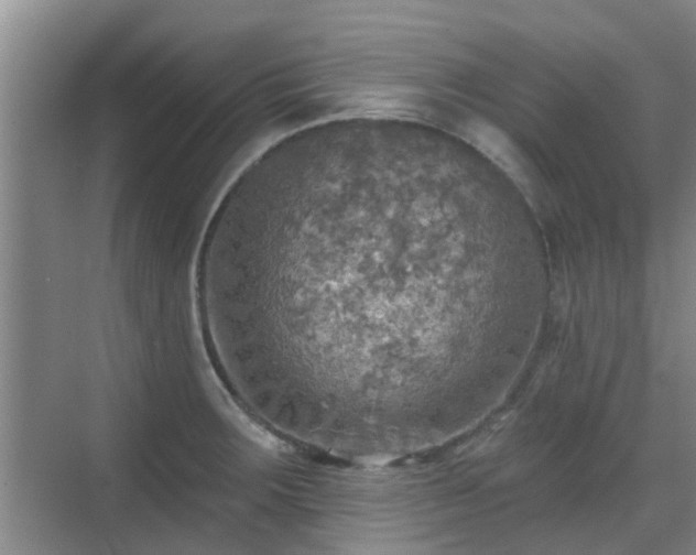 X0000070421283200606161428