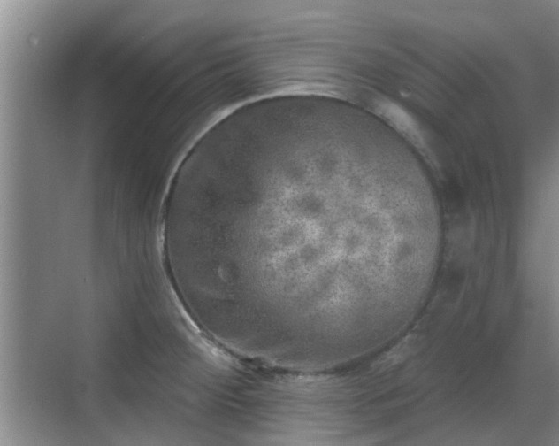 X0000070421284200606161428