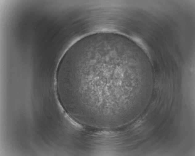 X0000070421287200606161428