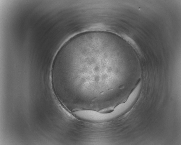 X0000070421288200606161428