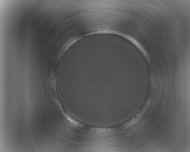 X0000070421289200606161428