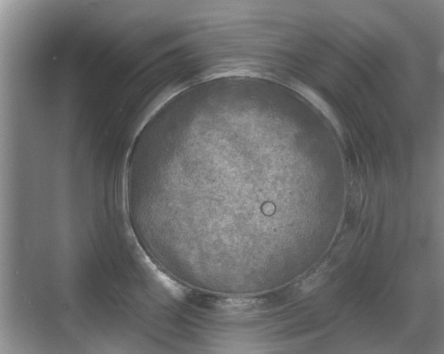 X0000070421290200606161428