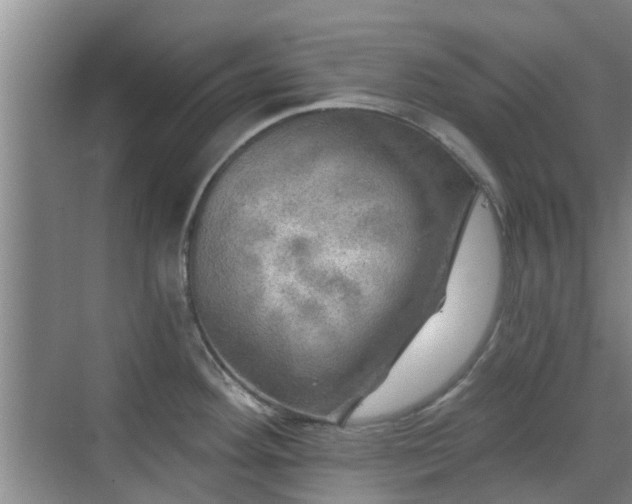 X0000070421292200606161428