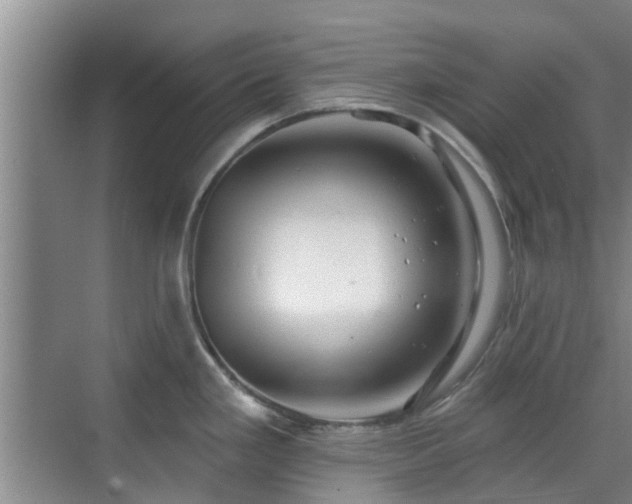 X0000070421293200606161428