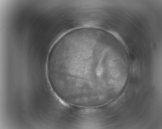 X0000070421294200606161428