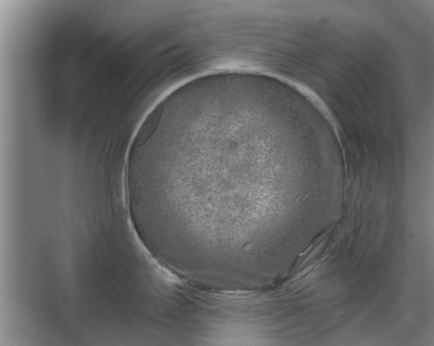 X0000070421295200606161428