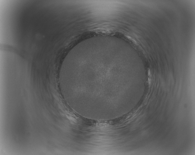 X0000070421297200606161427