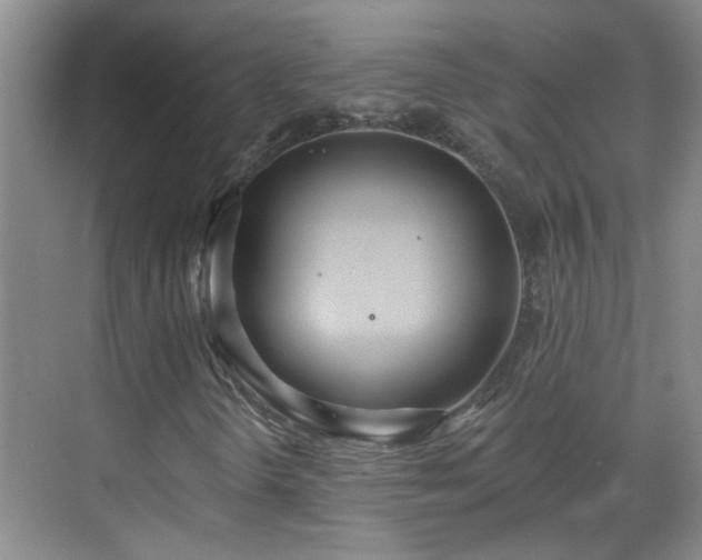 X0000070421298200606161427