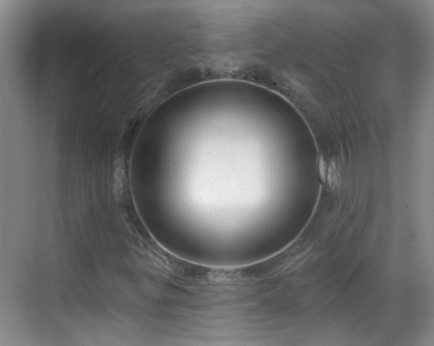 X0000070421299200606161427