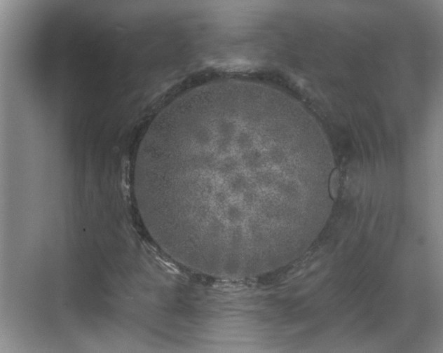 X0000070421301200606161427