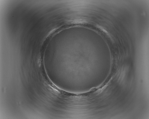 X0000070421306200606161427