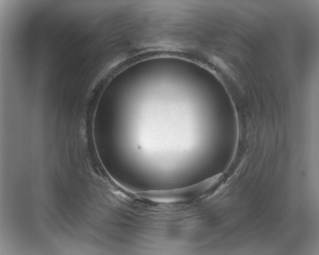 X0000070421307200606161427