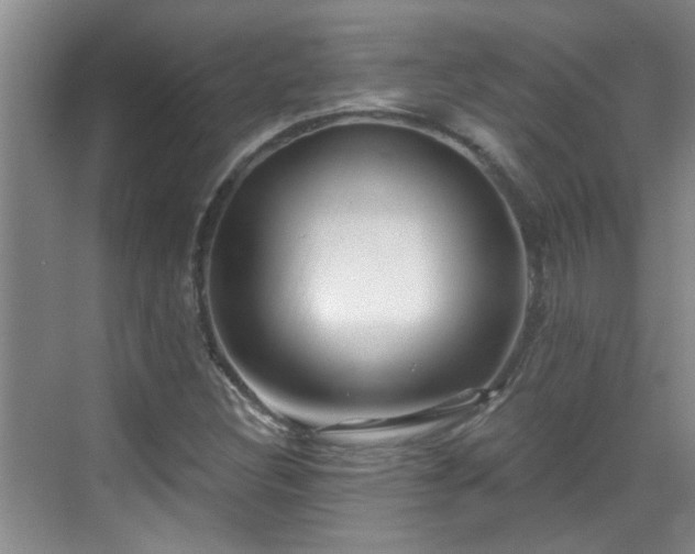 X0000070421308200606161427