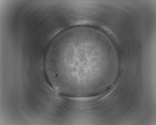 X0000070421313200606161427