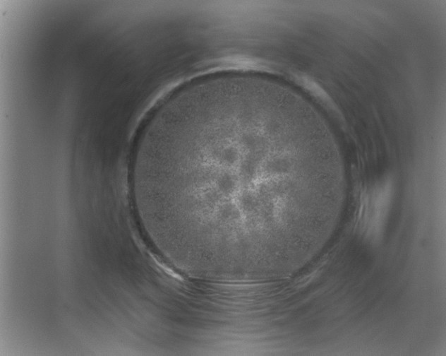 X0000070421318200606161427